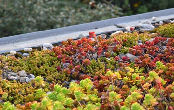 the cost of Begdale green roof installation