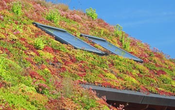 Begdale living roof systems