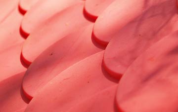 Begdale plastic roof costs