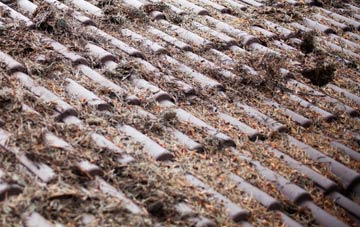 Begdale roof cleaning companies